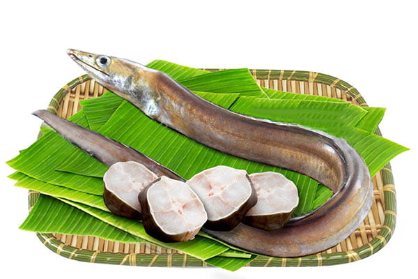 Cá lạc chứa rất nhiều dưỡng chất cần thiết tốt cho sức khỏe
