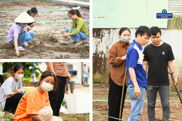Mỗi người một việc nhưng đầy ắp tiếng cười, chỉ có thể là "Tô nét khuôn viên nhà Phạm Nghĩa!