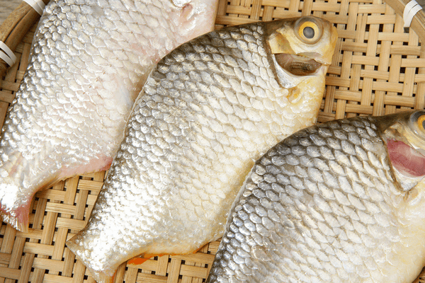 Cá he chứa nhiều dưỡng chất cần thiết cho cơ thể như protein, Omega-3 và canxi,... rất tốt cho sức khỏe