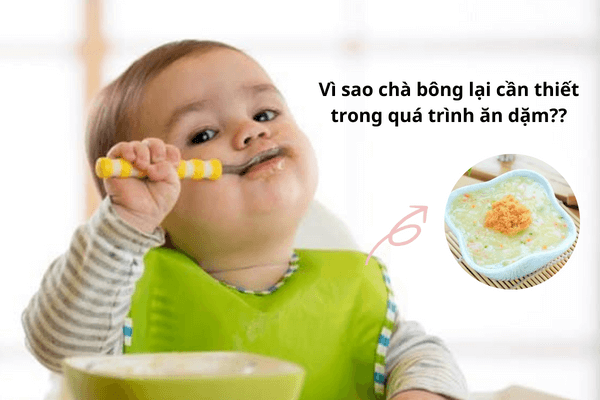 Khi bé ngại ăn thịt cá tươi có mùi tanh nồng, việc sử dụng chà bông cho bé ăn dặm là một giải pháp thay thế hoàn hảo!