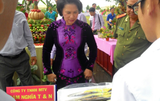 chu-tich-quoc-hoi-xem-san-pham-ca-that-lat