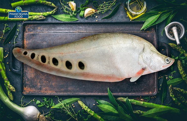 Dù đã ăn nhiều chả cá thát lát nhưng có mấy ai biết được con cá thát lát thực tế sẽ như thế nào?