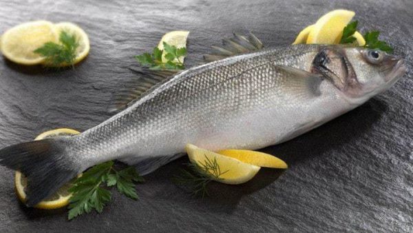 Cá chẽm có giá trị dinh dưỡng cao và có thể chế biến thành nhiều món ăn ngon!