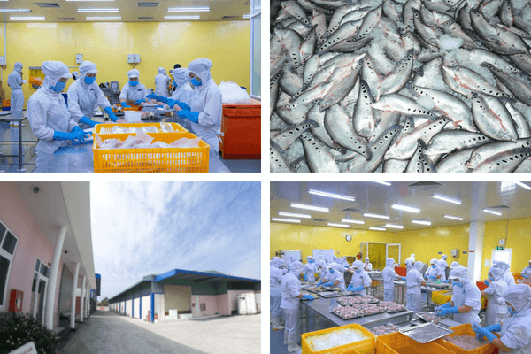Quy trình sản xuất tại PHAM NGHIA FOOD đạt chuẩn quốc tế ISO 22000:2018