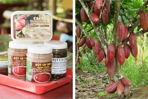 Cacao Mười Cương không chỉ là một điểm đến du lịch đơn thuần mà còn là nơi lưu giữ những giá trị văn hóa truyền thống của vùng đất Tây Đô