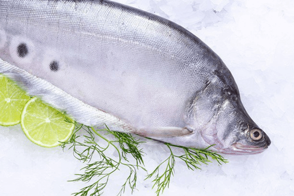 Bạn có biết tất tần tật những công dụng của cá thát lát đối với sức khỏe?