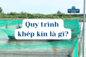 Nếu bạn chưa biết quy trình khép kín trong sản xuất thực phẩm tại Phạm Nghĩa là gì hãy cùng tìm hiểu qua bài viết bên dưới nhé!