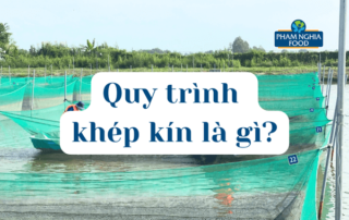 Nếu bạn chưa biết quy trình khép kín trong sản xuất thực phẩm tại Phạm Nghĩa là gì hãy cùng tìm hiểu qua bài viết bên dưới nhé!
