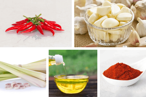 Những nguyên liệu quen thuộc: ớt, sả, tỏi… để làm xốt sa tế tại nhà