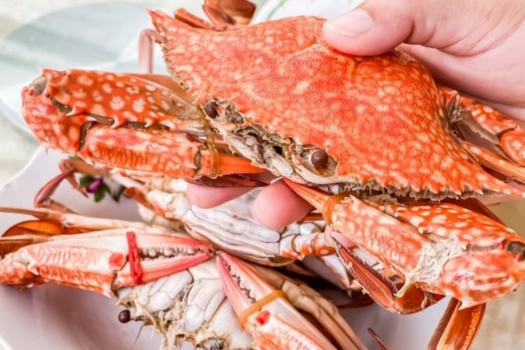 Nguồn đạm từ ghẹ dễ hấp thu và tốt cho sự phát triển của bé yêu