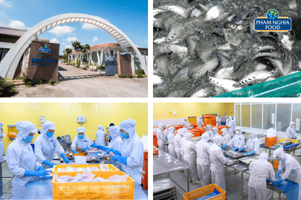 Chất lượng ổn định giúp Phạm Nghĩa trở thành lựa chọn hàng đầu cho đặc sản Việt Nam xuất khẩu