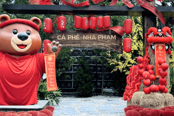 Nhà Phạm Trong Rừng – quán cà phê view đẹp ở Cần Thơ mang phong cách rustic mộc mạc, ẩn mình giữa thiên nhiên, lý tưởng để thư giãn và chụp ảnh cảm xúc