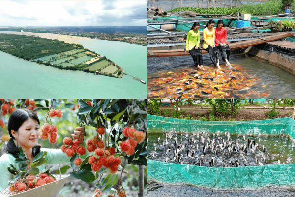 Cồn Sơn – điểm tham quan nổi bật trong các khu du lịch Cần Thơ